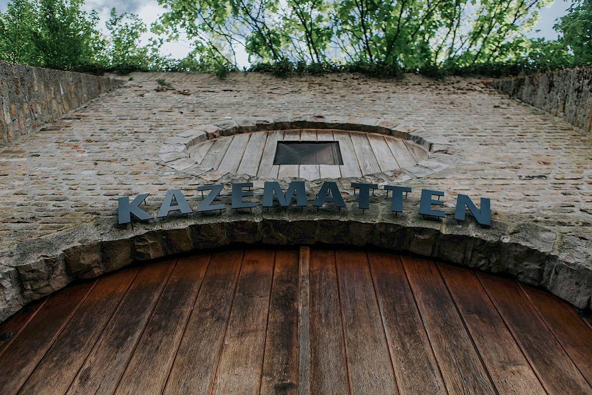 Dolfijnen zwemmen